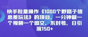 快手批量操作《1000个野路子信息差玩法》的项目,一分钟做一个视频一个图文,不封号,日引流150+【揭秘】-21资源库