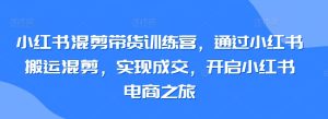 小红书混剪带货训练营,通过小红书搬运混剪,实现成交,开启小红书电商之旅-21资源库