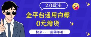 外面收费2980的全平台通用白嫖撸货项目2.0玩法【仅揭秘】-21资源库