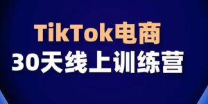 TikTok电商带货30天线上课，不可错过的全球流量洼地！-21资源库