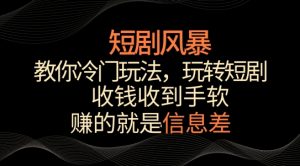 短剧风暴,教你冷门玩法,玩转短剧,收钱收到手软【揭秘】-21资源库