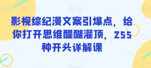 影视综纪漫文案引爆点，给你打开思维醍醐灌顶，255种开头详解课-21资源库