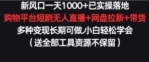 新风口一天1000+已实操落地购物平台短剧无人直播+网盘拉新+带货多种变现长期可做【揭秘】-21资源库