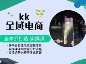 KK全域电商，全体系打造实操课，多平台打造电商逻辑体系-21资源库