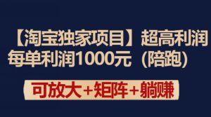 【淘宝独家项目】超高利润：每单利润1000元【揭秘】-21资源库