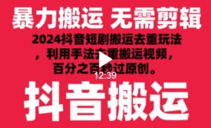2024最新抖音搬运技术,抖音短剧视频去重,手法搬运,利用工具去重,达到秒过原创的效果【揭秘】-21资源库