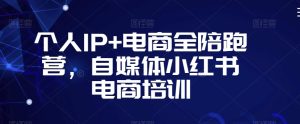 个人IP+电商全陪跑营,自媒体小红书电商培训-21资源库