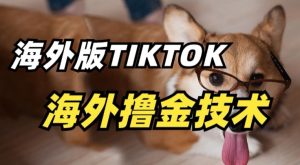 抖音海外版tiktok撸金技术，这个风口行业，赚钱真的不难【揭秘】-21资源库