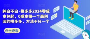 拼多多2024零成本包起，0成本做一个高利润的拼多多，方法不只一个-21资源库