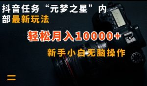 抖音任务“元梦之星”内部最新玩法，新手小白无脑操作，轻松月入10000+【揭秘】-21资源库