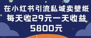 在小红书引流私域卖壁纸每张29元单日最高卖出200张(0-1搭建教程)【揭秘】-21资源库