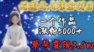 天选之人炼金项目，一个作品涨粉5000+，单号变现3.6w【揭秘】-21资源库