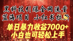 蓝海项目!黑科技引爆全网流量小红书拉新,单日暴力收益7000+,小白也能轻松上手【揭秘】-21资源库