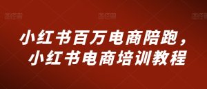 小红书百万电商陪跑，小红书电商培训教程-21资源库