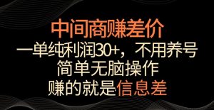 中间商赚差价，一单纯利润30+，简单无脑操作，赚的就是信息差，轻轻松松日入1000+【揭秘】-21资源库