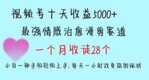 十天收益5000+,多平台捞金,视频号情感治愈漫剪,一个月收徒28个,小白一部手机轻松上手【揭秘】-21资源库
