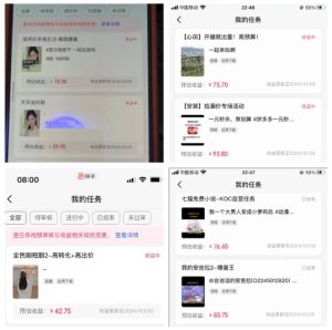 2024年3月最新，快手磁力聚星全流程实操教学，8台手机日均收益稳定100~200元【揭秘】-21资源库