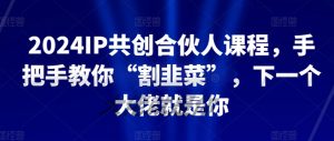 2024IP共创合伙人课程，手把手教你“割韭菜”，下一个大佬就是你-21资源库