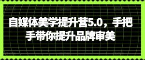 自媒体美学提升营5.0，手把手带你提升品牌审美-21资源库