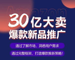 亚马逊·30亿大卖爆款新品推广,可复制、全程案例实操的爆款推新SOP-21资源库