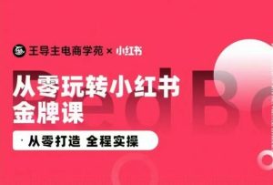王导主·小红书电商运营实操课，​从零打造  全程实操-21资源库