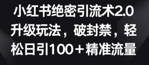 小红书绝密引流术2.0升级玩法,破封禁,轻松日引100+精准流量【揭秘】-21资源库