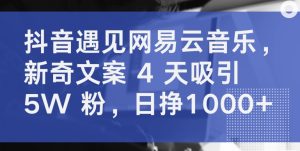 抖音遇见网易云音乐,新奇文案 4 天吸引 5W 粉,日挣1000+【揭秘】-21资源库