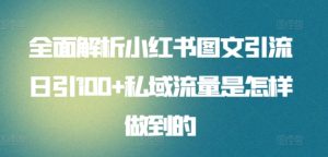 全面解析小红书图文引流日引100+私域流量是怎样做到的【揭秘】-21资源库