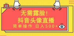 无需露脸，Ai头像直播项目，简单操作日入500+【揭秘】-21资源库