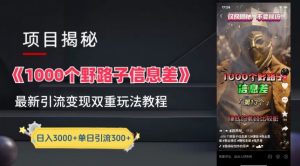 一千个野路子信息差最新玩法教程-变现+引流的玩法具体拆解【揭秘】-21资源库