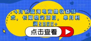 4月份蓝海电商撸收益技术，长期稳定项目，单月利润5000+【揭秘】-21资源库