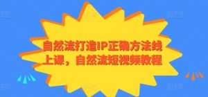 自然流打造IP正确方法线上课,自然流短视频教程-21资源库