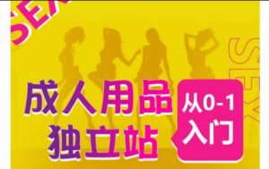成人用品独立站从0-1入门,成品独立站运营全流程教学,七大好卖成品独立站推荐-21资源库