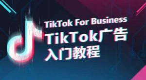 TikTok广告入门教程,从0到1掌握TikTok投放的全流程-21资源库