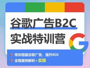 谷歌广告B2C实战特训营，500+谷歌账户总结经验，实战演示如何从0-1搭建广告账户-21资源库
