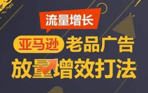 流量增长 亚马逊老品广告放量增效打法,短期内广告销量翻倍-21资源库