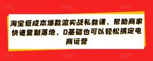 淘宝低成本爆款流实战私教课,帮助商家快速复制落地,0基础也可以轻松搞定电商运营-21资源库