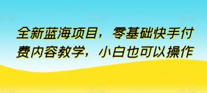 全新蓝海项目，零基础快手付费内容教学，小白也可以操作【揭秘】-21资源库