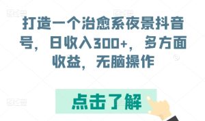 打造一个治愈系夜景抖音号，日收入300+，多方面收益，无脑操作【揭秘】-21资源库