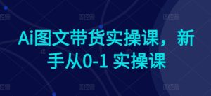 Ai图文带货实操课,新手从0-1 实操课-21资源库