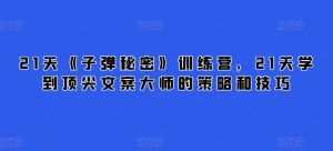 21天《子弹秘密》训练营,21天学到顶尖文案大师的策略和技巧-21资源库