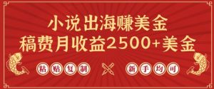 小说出海赚美金，稿费月收益2500+美金，仅需chatgpt粘贴复制，新手也能玩转【揭秘】-21资源库