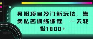 男粉项目冷门新玩法,售卖私密训练课程,一天轻松1000+【揭秘】-21资源库