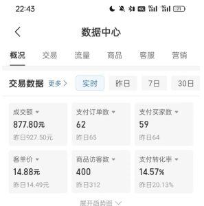 拼多多虚拟U盘电商红利项目：月赚2万+，新手小白也能玩-21资源库