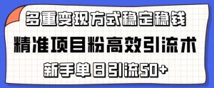 精准项目粉高效引流术，新手单日引流50+，多重变现方式稳定赚钱【揭秘】-21资源库