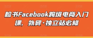 脸书Facebook跨境电商入门课，外贸·独立站必修-21资源库