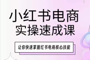 小红书电商实操速成课,让你快速掌握红书电商核心技能-21资源库