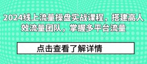 2024线上流量操盘实战课程，搭建高人效流量团队，掌握多平台流量-21资源库