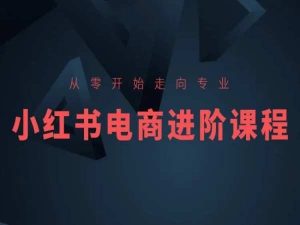 从零开始走向专业，小红书电商进阶课程-21资源库
