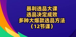 暴利选品大课：选品决定成败，教你多种大爆款选品方法(12节课)-21资源库